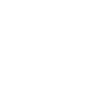 Carrera Since