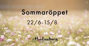 Sommaröppet på Malmbergs
